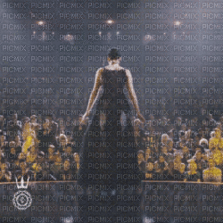 Hunger games - Free animated GIF