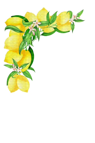 kikkapink lemon fruit deco png corner border - 免费PNG