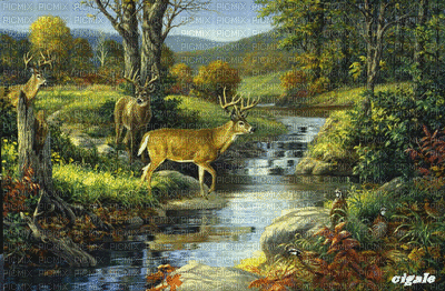 Deer N Creek - Gratis geanimeerde GIF