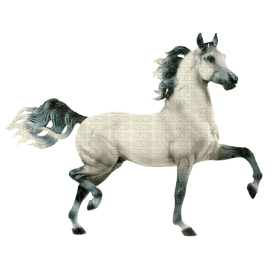 Kaz_Creations Horse 🐴 - png gratuito
