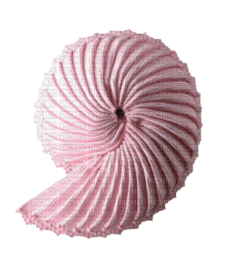 Kaz_Creations  Pink Deco Scrap Colours Shells - PNG gratuit