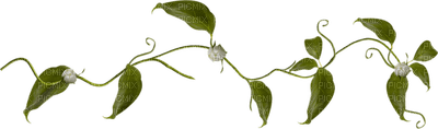 Kaz_Creations Deco Green Leaves Leafs Colours - δωρεάν png