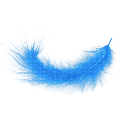 feather - 免费PNG