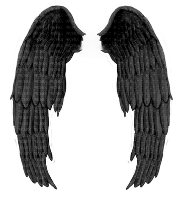 wings - ücretsiz png