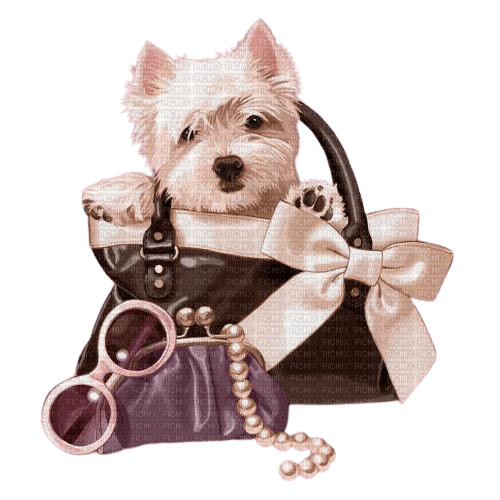 Dog/handbag/glasses - kostenlos png