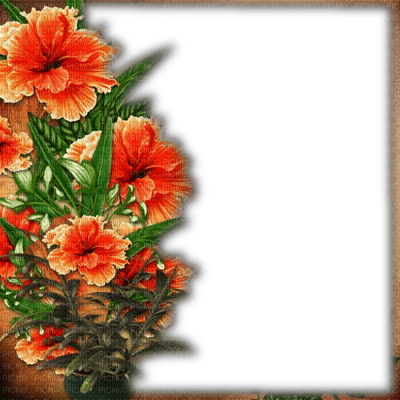 frame cadre flowers - zdarma png
