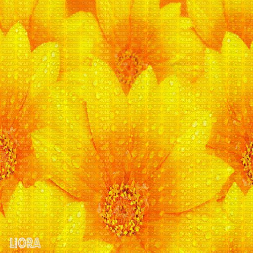 yellow background  by nataliplus - Animovaný GIF zadarmo
