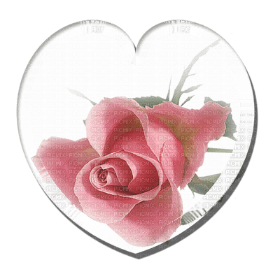 patymirabelle coeur et rose - PNG gratuit