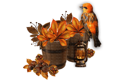autumn/decoration - zadarmo png