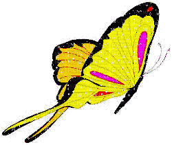 animated butterfly - Nemokamas animacinis gif