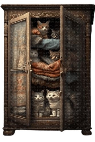 Chats , armoire à chats - PNG gratuit