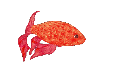 peixe vermelho-l - GIF animate gratis