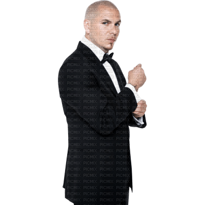 Kaz_Creations Man Homme Pitbull Singer Music - png gratis
