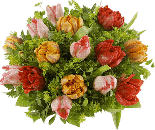 Blumen, Flowers, Tulpen - GIF animado grátis