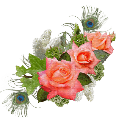 kukka, flower, fleur, rose, ruusu - PNG gratuit