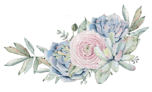 succulents  Bb2 - zadarmo png