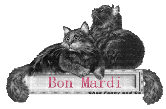 bon mardi 4 - Bezmaksas animēts GIF