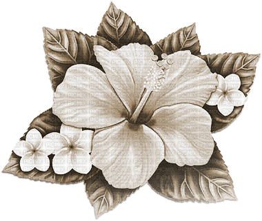 soave deco summer tropical flowers sepia - PNG gratuit