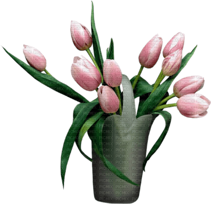 pink tulips Bb2 - zadarmo png