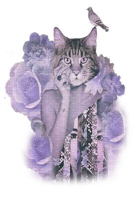 cat chat vintage - Free PNG