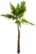 tree anastasia - 無料のアニメーション GIF