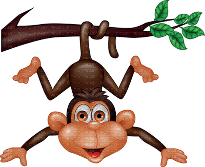 Kaz_Creations Monkey Monkeys - gratis png
