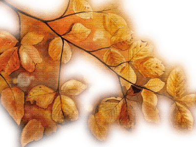 paysage automne.Cheyenne63 - ücretsiz png
