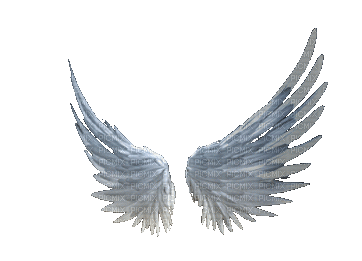 Angel Wings - Bezmaksas animēts GIF