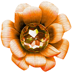 Flower.Orange - бесплатно png