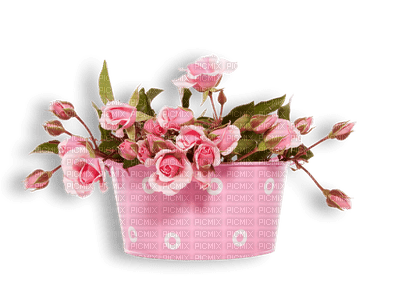 Kaz_Creations Deco Flowers Colours Plant - Free PNG
