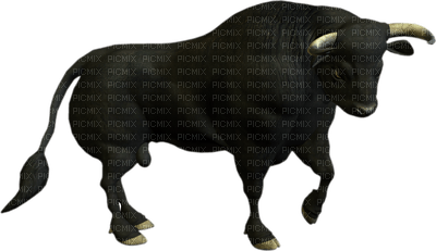 Spanish bull bp - PNG gratuit