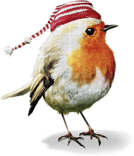 Kaz_Creations Bird-Robin - nemokama png