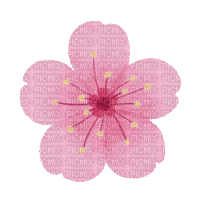 Cherry Blossom animated - Darmowy animowany GIF