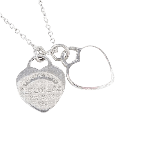 necklace - png grátis