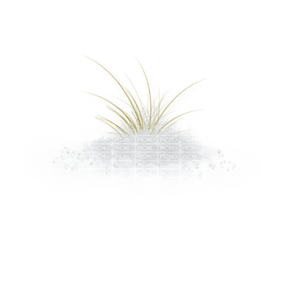 snow plant - PNG gratuit
