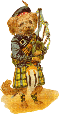 Kaz_Creations Deco Scottish Dog - darmowe png