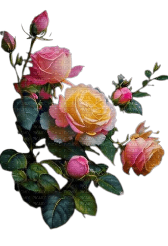 roses - nemokama png