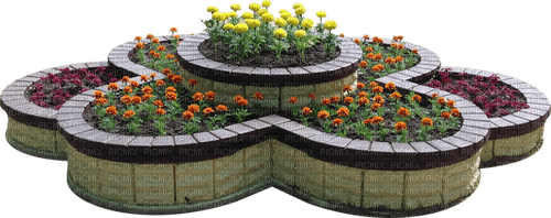 fleur, red,flower bed, garden, Adam64 - PNG gratuit