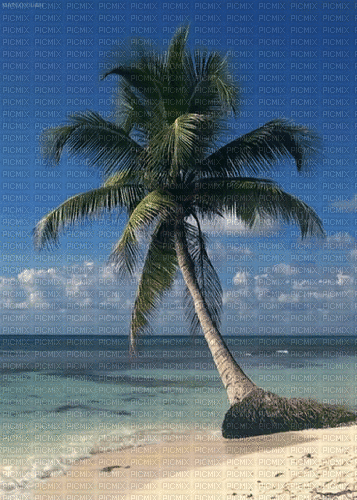 Playa - Bezmaksas animēts GIF