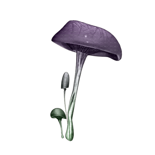 kikkapink deco scrap purple mushroom - ingyenes png