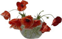 Coquelicots - png grátis