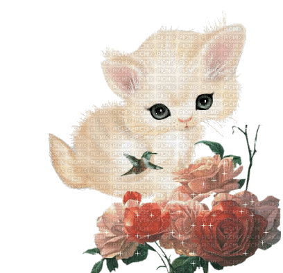 MMarcia gif gato cat  chat  flores fleur - Gratis geanimeerde GIF