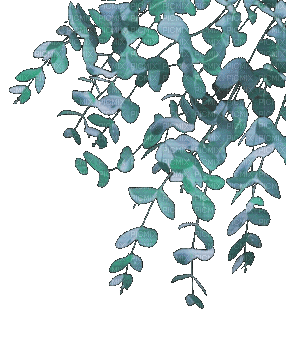 PLANT - Zdarma animovaný GIF