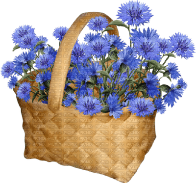 fleurs - gratis png