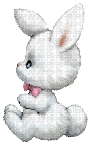 bunny easter - kostenlos png