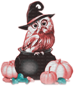 soave deco halloween owl pumpkin pink teal - png grátis