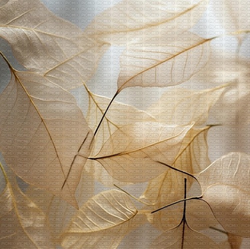 Gold Background Leaf - ilmainen png