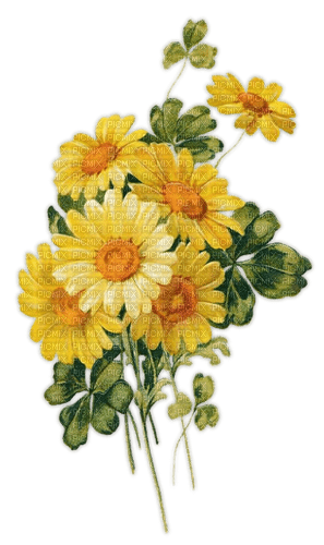 Yellow green orange flowers deco [Basilslament] - безплатен png