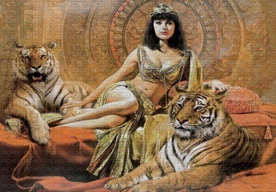 woman with tiger bp - 免费PNG