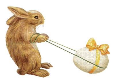 Easter, Rabbit, Bunny, Egg - Jitter.Bug.Girl - zdarma png